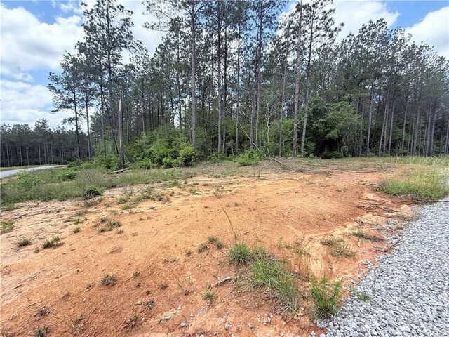 LOT19 Caro Ln, Franklinton, LA 70438 - photo 5