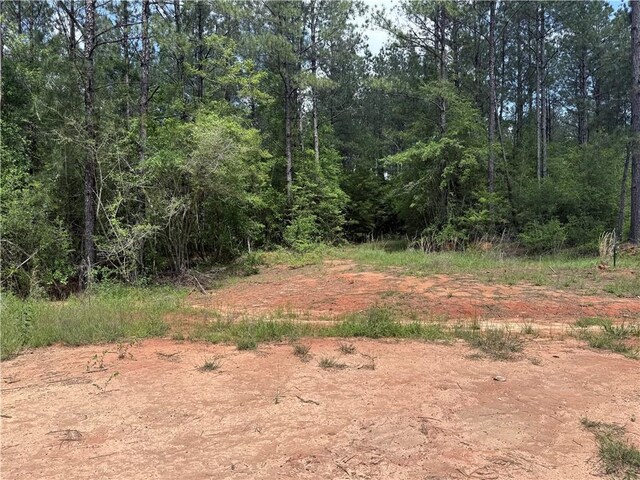 LOT19 Caro Ln, Franklinton, LA 70438 - photo 7
