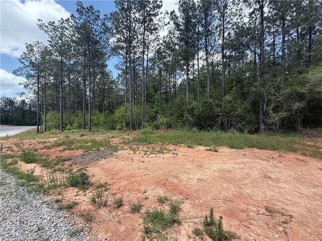 LOT19 Caro Ln, Franklinton, LA 70438 - photo 8