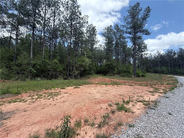 LOT19 Caro Ln, Franklinton, LA 70438 - photo 9