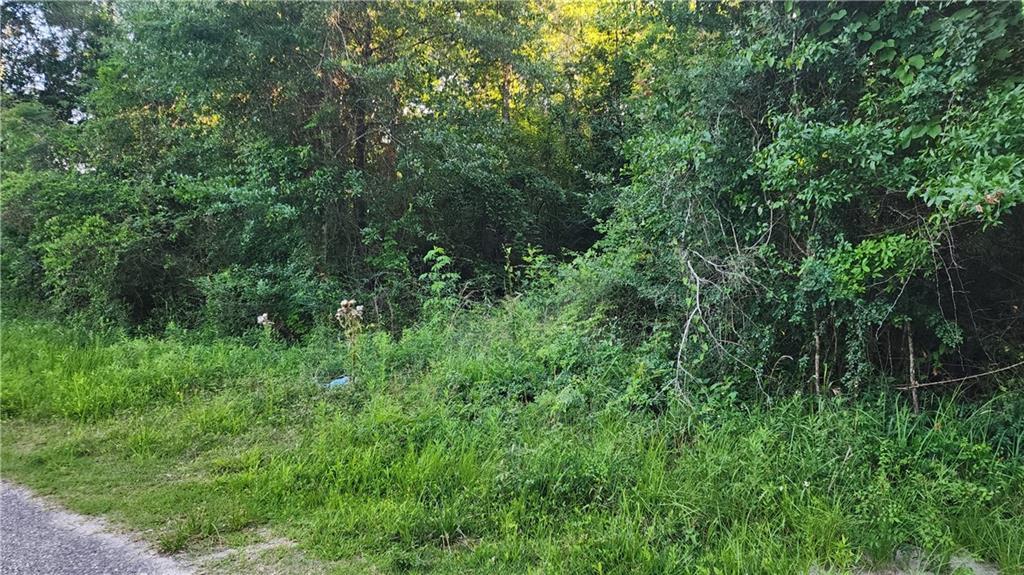 N Audubon St, Slidell, LA 70460