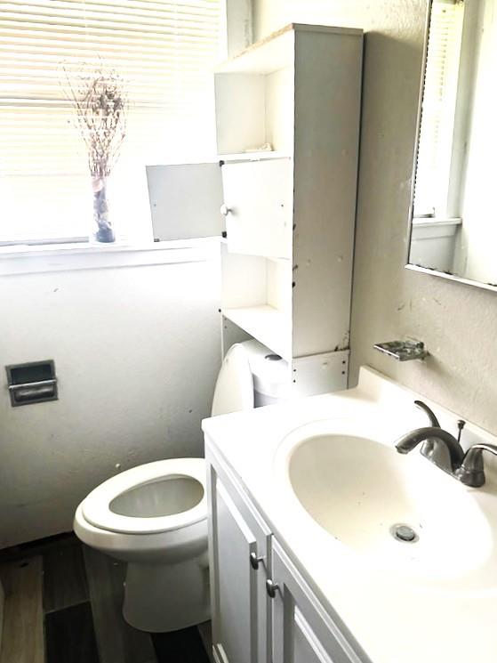 bathroom with vanity, plenty of natural light, and toilet