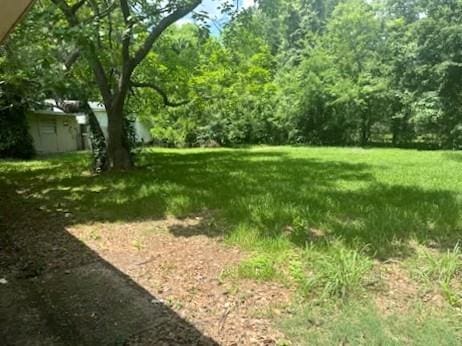 3076 Elgin St, Baton Rouge, LA 70805 - view of yard