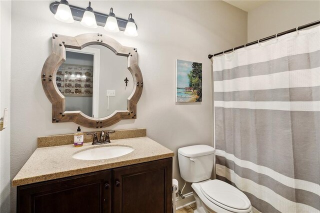 full bathroom with toilet, a shower with curtain, and vanity
