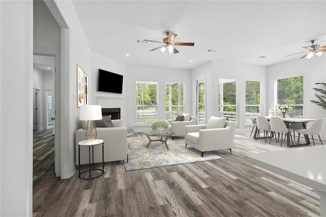 living room featuring plenty of natural light, ceiling fan, and wood finished floors