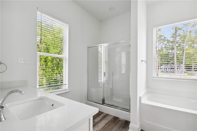 bathroom featuring a garden tub, vanity, wood finished floors, and a shower stall