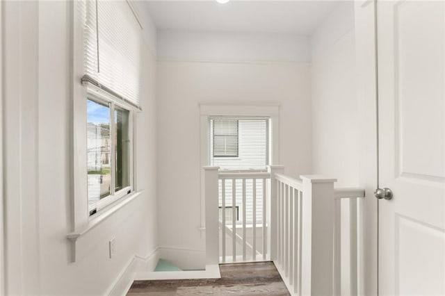 hallway featuring wood finished floors