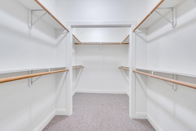 walk in closet with carpet floors