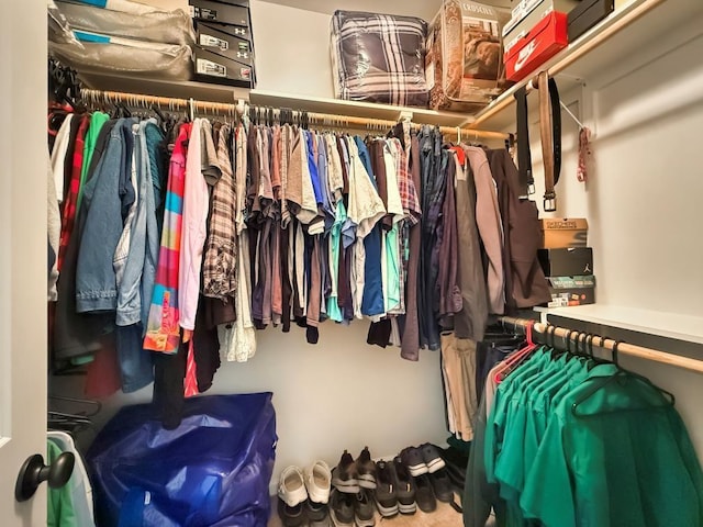 42273 Atmore Pl, Ponchatoula, LA 70454 - view of walk in closet