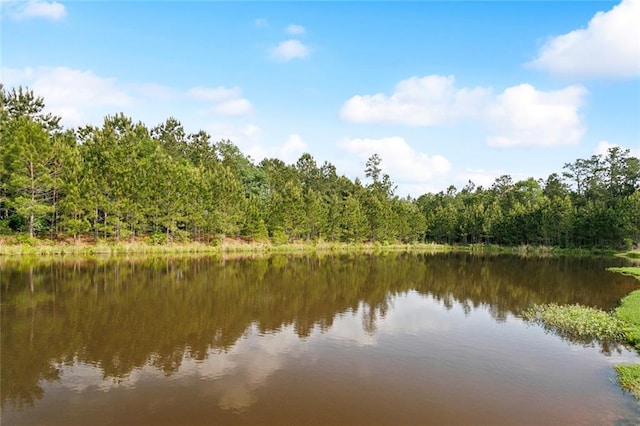 water view featuring a view of trees