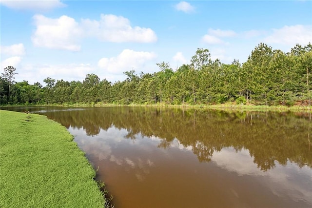 view of water feature with a wooded view