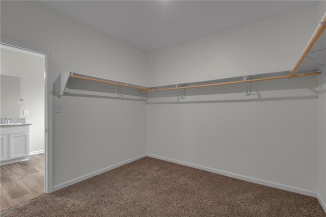 walk in closet featuring light colored carpet