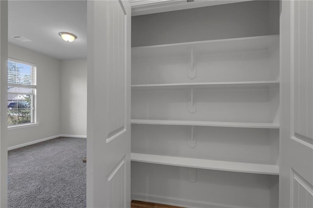 view of closet