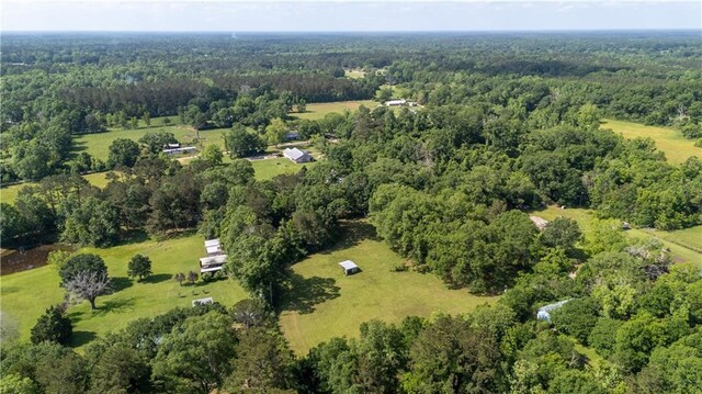 bird's eye view with a forest view