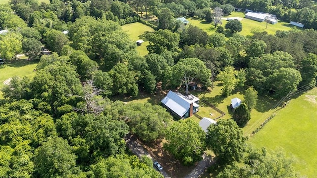 drone / aerial view