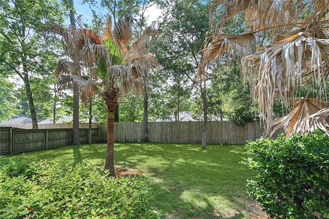 6024 Chateau Loire Cir, Mandeville, LA 70448 - view of yard featuring a fenced backyard