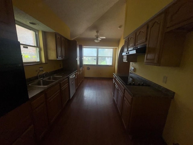kitchen featuring dark countertops, black electric stovetop, a sink, dishwasher, and under cabinet range hood