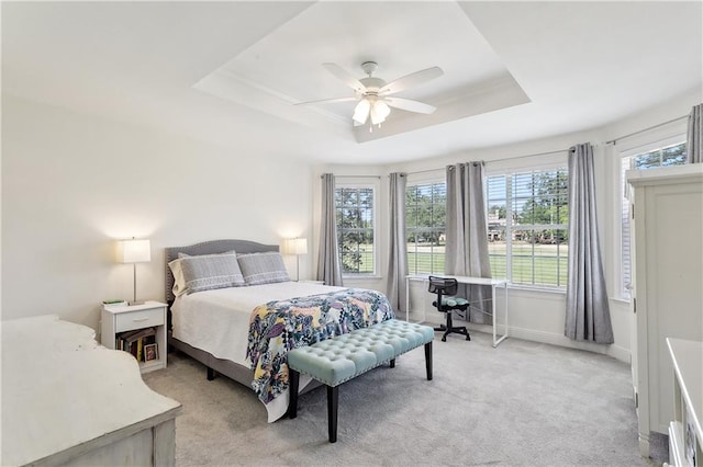 bedroom featuring a raised ceiling and multiple windows