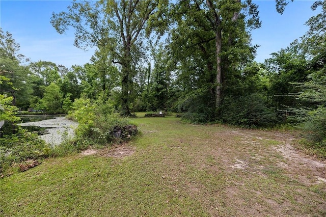 26272 Jim Bailey Rd, Holden, LA 70744 - view of yard featuring a view of trees