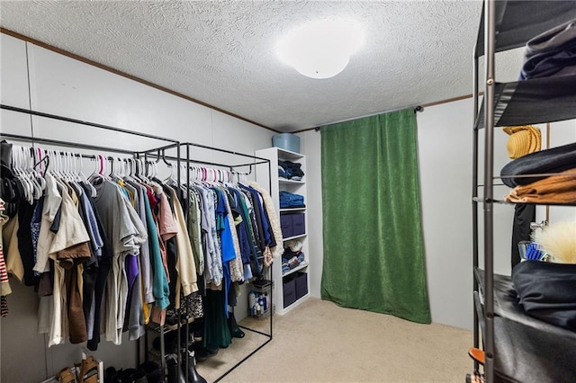 26272 Jim Bailey Rd, Holden, LA 70744 - spacious closet with carpet