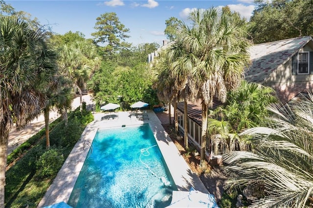 16407 Summerhill Rd, Covington, LA 70435 - outdoor pool featuring a patio area