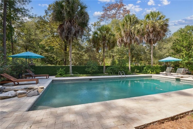 16407 Summerhill Rd, Covington, LA 70435 - view of pool featuring a patio and view of wooded area
