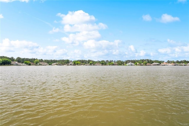 14300 S Lakeshore Dr, Covington, LA 70435 - water view