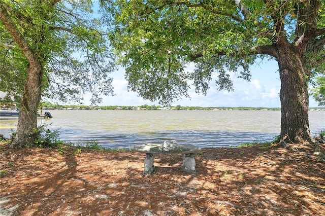 14300 S Lakeshore Dr, Covington, LA 70435 - water view