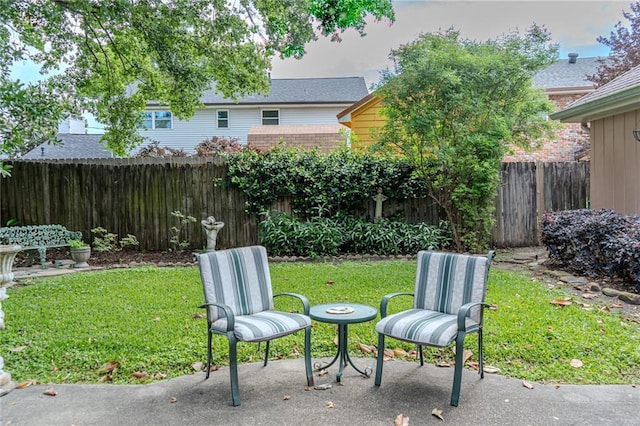 view of yard featuring a fenced backyard and a patio area