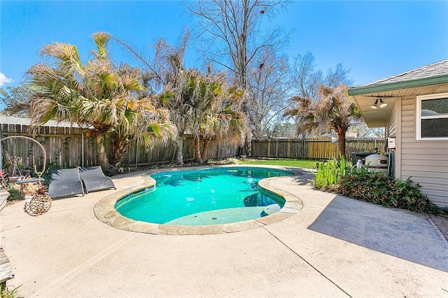 view of swimming pool featuring a patio, a fenced backyard, and a fenced in pool