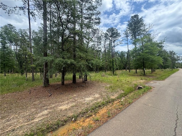 50150 Spirit Of The Forest Ln, Folsom, LA 70437 - photo 1