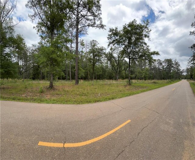 50150 Spirit Of The Forest Ln, Folsom, LA 70437 - photo 2