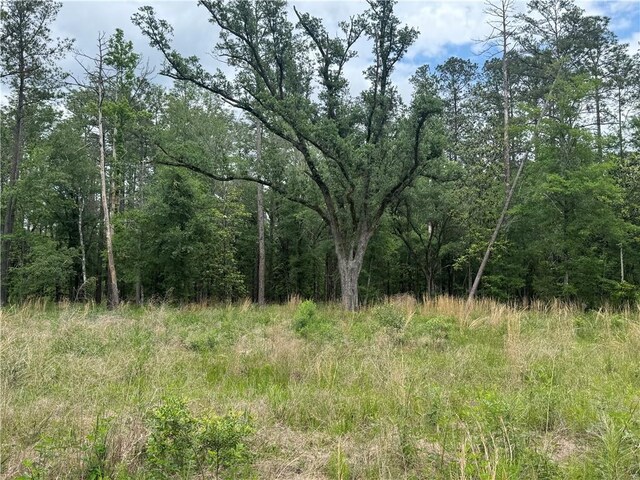 50150 Spirit Of The Forest Ln, Folsom, LA 70437 - photo 3