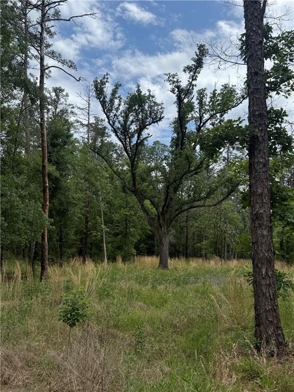 50150 Spirit Of The Forest Ln, Folsom, LA 70437 - photo 4