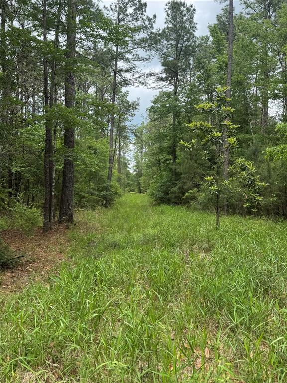50150 Spirit Of The Forest Ln, Folsom, LA 70437 - photo 5