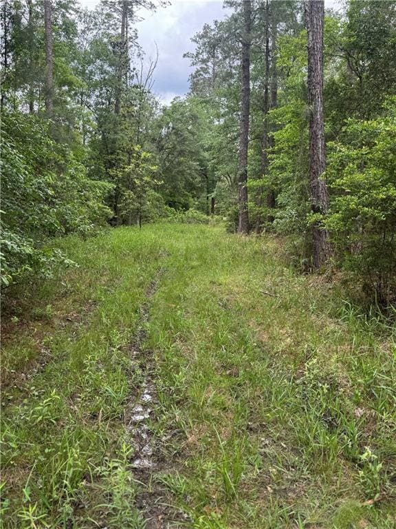 50150 Spirit Of The Forest Ln, Folsom, LA 70437 - photo 6
