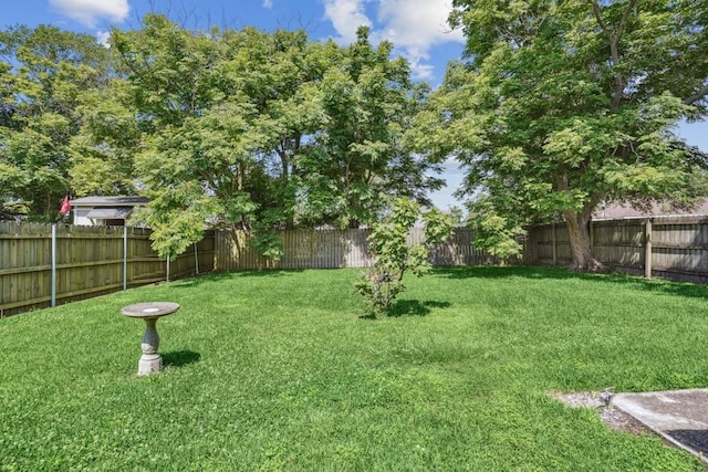 view of yard with a fenced backyard
