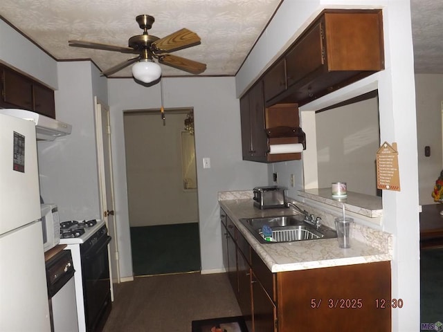 kitchen with a sink, white appliances, ceiling fan, ventilation hood, and light countertops