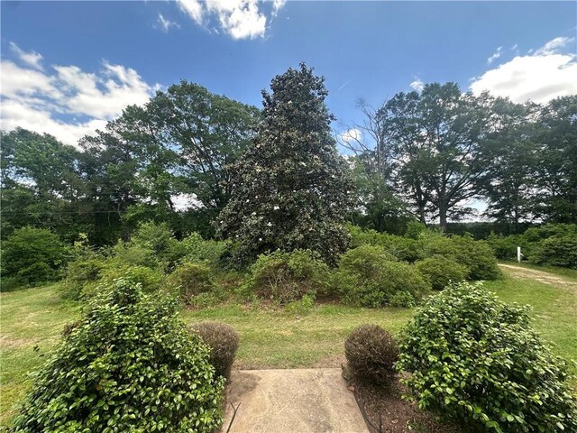 30173 N Purvis Thomas Rd, Franklinton, LA 70438 - photo 4