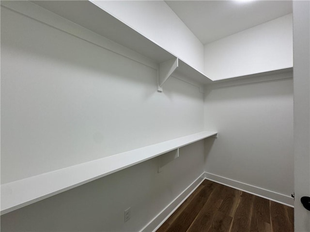 spacious closet featuring dark wood-style floors