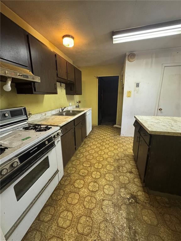 kitchen with under cabinet range hood, dark brown cabinets, white appliances, a sink, and light countertops