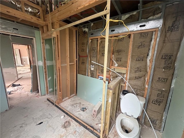 bathroom with toilet