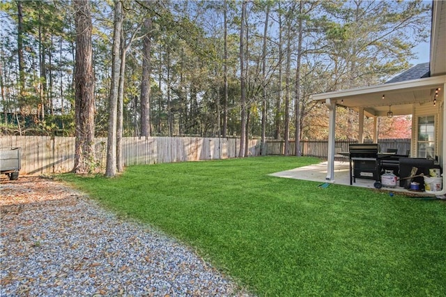 view of yard featuring a fenced backyard and a patio area