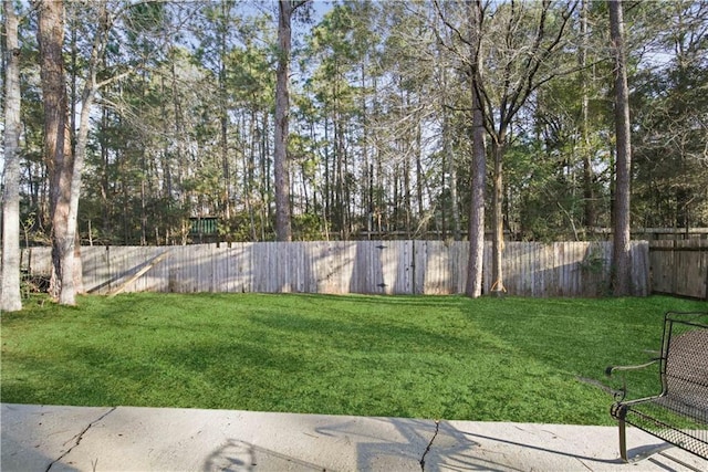 view of yard with a fenced backyard