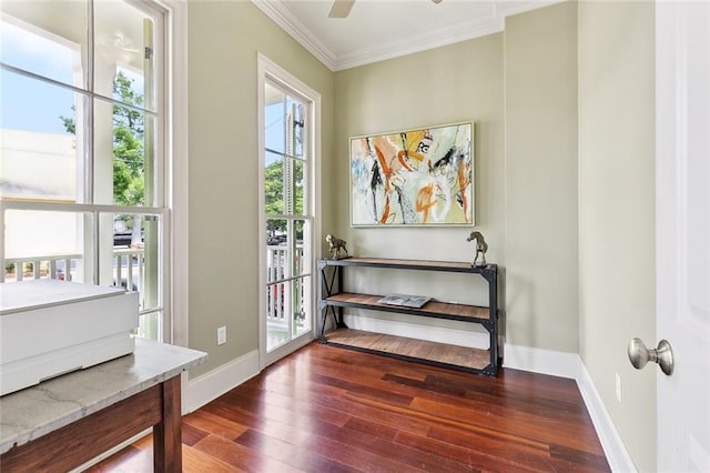 335 Joseph St, New Orleans, LA 70115 - doorway with ceiling fan, baseboards, ornamental molding, and hardwood / wood-style flooring