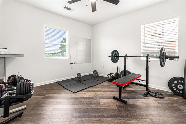 workout room with wood finished floors, baseboards, and ceiling fan