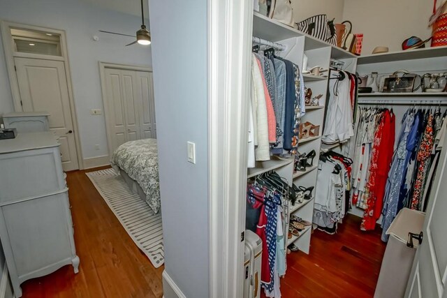 walk in closet featuring wood finished floors and ceiling fan