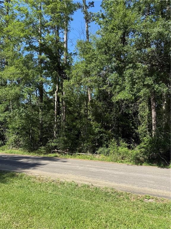 LOT28-B Oak Hollow Dr, Hammond, LA 70401 - photo 1