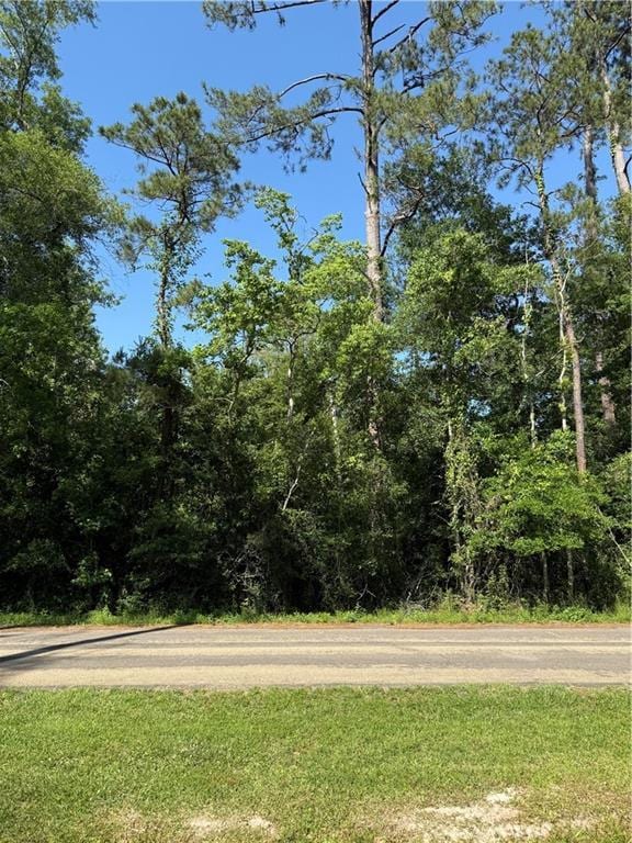 LOT28-B Oak Hollow Dr, Hammond, LA 70401 - photo 3