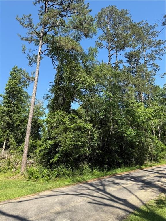 LOT28-B Oak Hollow Dr, Hammond, LA 70401 - photo 4